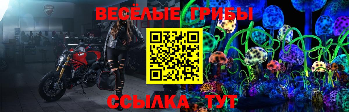 Галлюциногенные грибы мицелий  Вход с VPN  дарнет шоп  Омск 